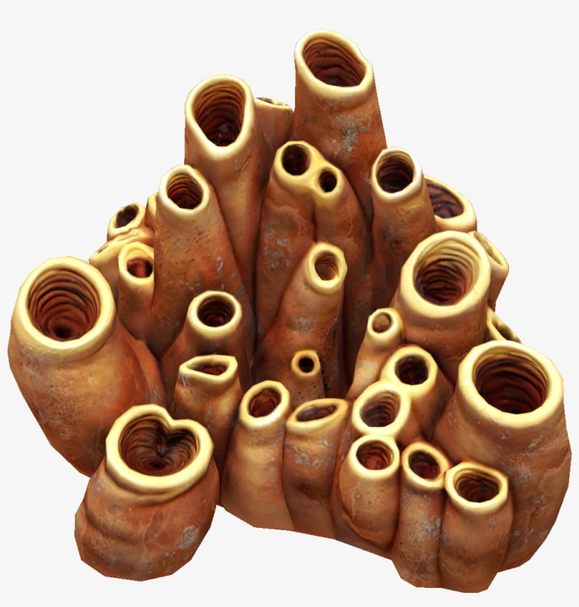 Earthen Coral Tubes - Coral, transparent png download