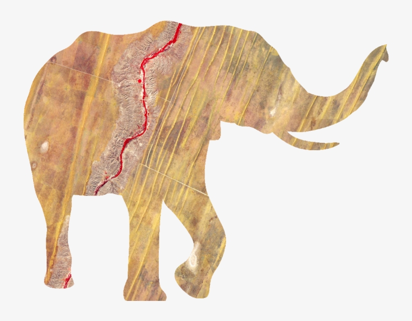 Remote Sensing For Biodiversity & Conservation - Quantitative Ecology, transparent png download