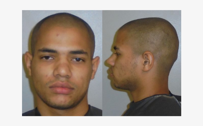 Palm Coast Man Sentenced To 15 Years In Prison In Statutory - Flagler County Sheriff's Office, transparent png download