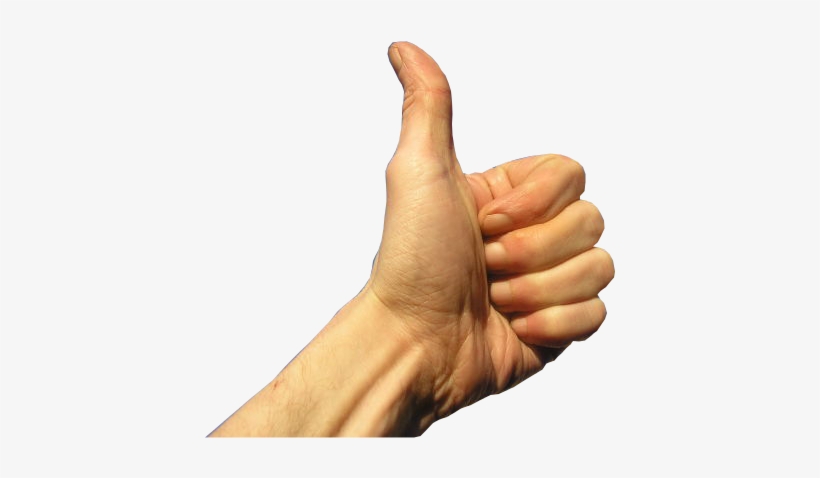 Imagem Com Fundo Retirado Com O Auxílio Do Gimp - Imagens Com O Fundo Transparente, transparent png download