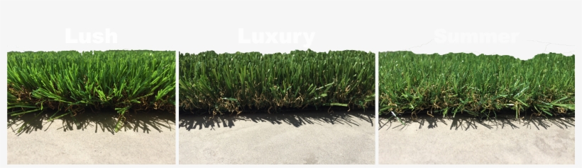 Freo Stone Paving Perth Artificial Grass Png Artificial - Freo Stone, transparent png download