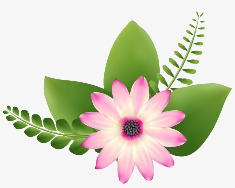 0, - Clipart Transparent Png Flowers, transparent png download