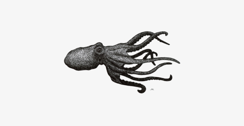 Octopus With Transparent Background, transparent png download