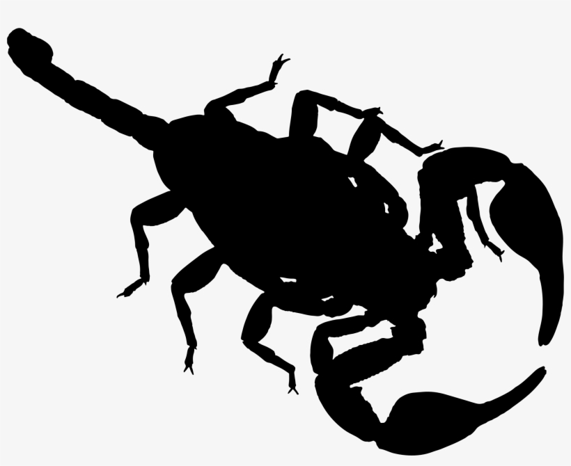 Scorpion Drawing Silhouette Encapsulated Postscript, transparent png download