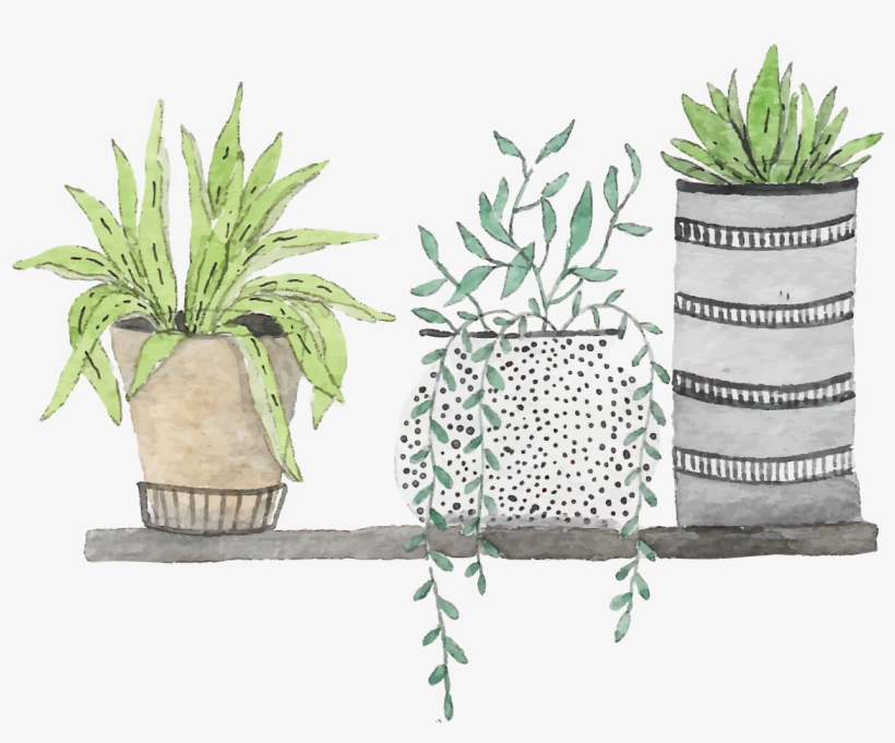 Clip Free Stock Bonsai Drawing Watercolor Green Plant Drwaing Png Png Image Transparent Png Free Download On Seekpng