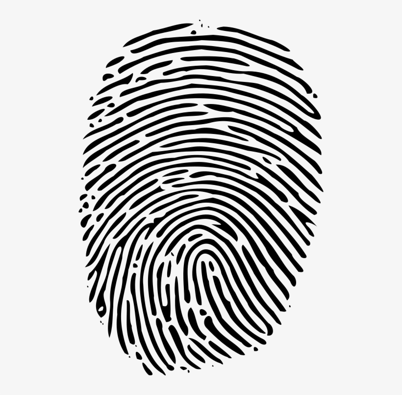 This Image Rendered As Png In Other Widths - بصمة الاصبع, transparent png download