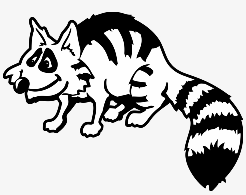Raccoon Drawing Giant Panda Download - Raccoon Clipart Black And White, transparent png download