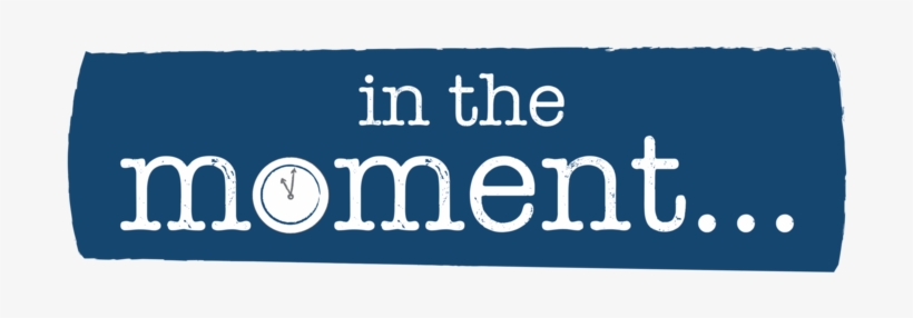 Concerns Over American Health Insurance Policy - Office, transparent png download