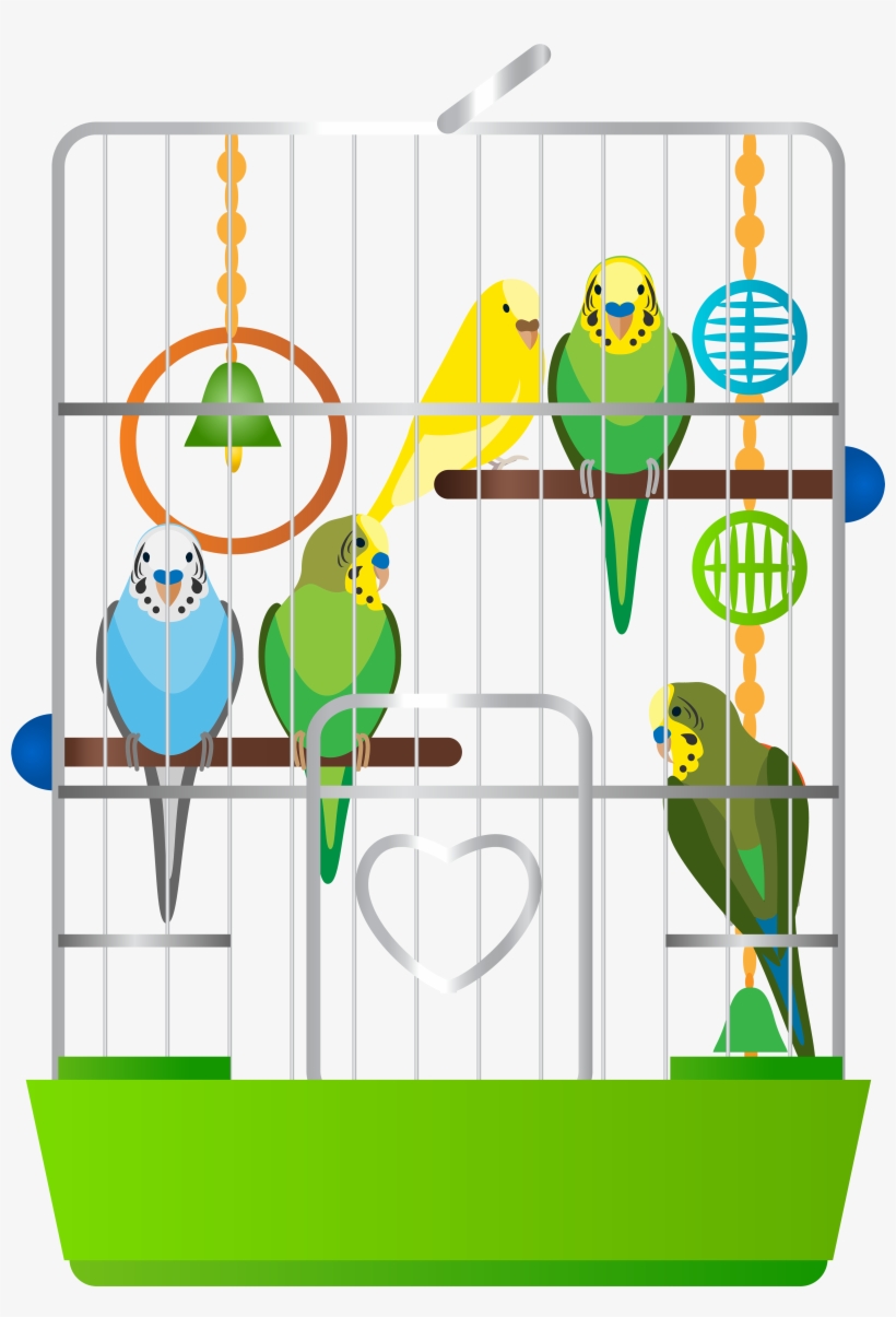Cage With Parrots Png Clip Art - Parrot In The Cage Clipart, transparent png download