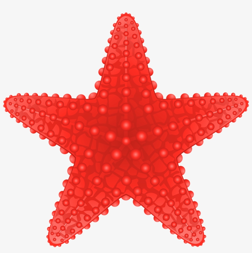 Starfish Cliparts - Starfish Clipart Png, transparent png download