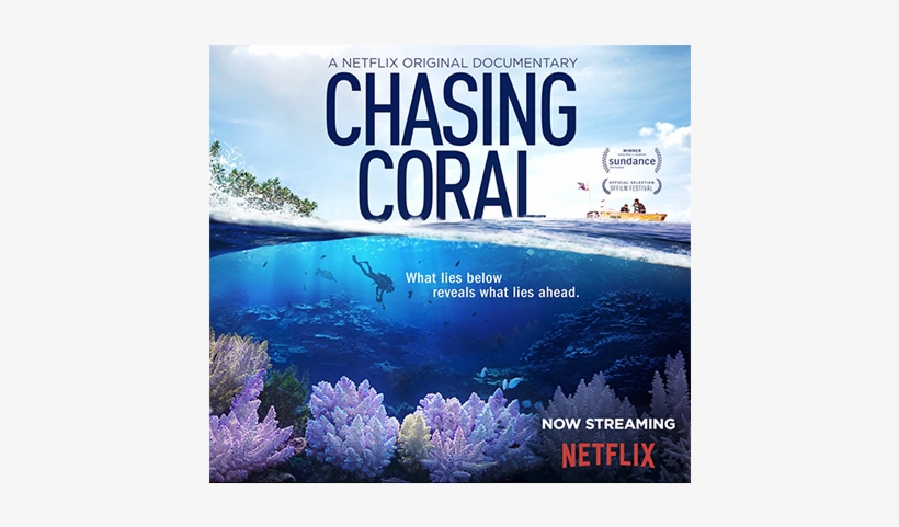 Chasing Coral, A Hymn To The Ocean - Marine Biology, transparent png download