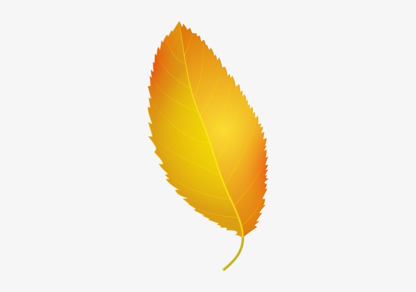 Yellow Leaves, Teaching Kindergarten, Autumn Leaves, - Autumn Leaves Png Illustration, transparent png download