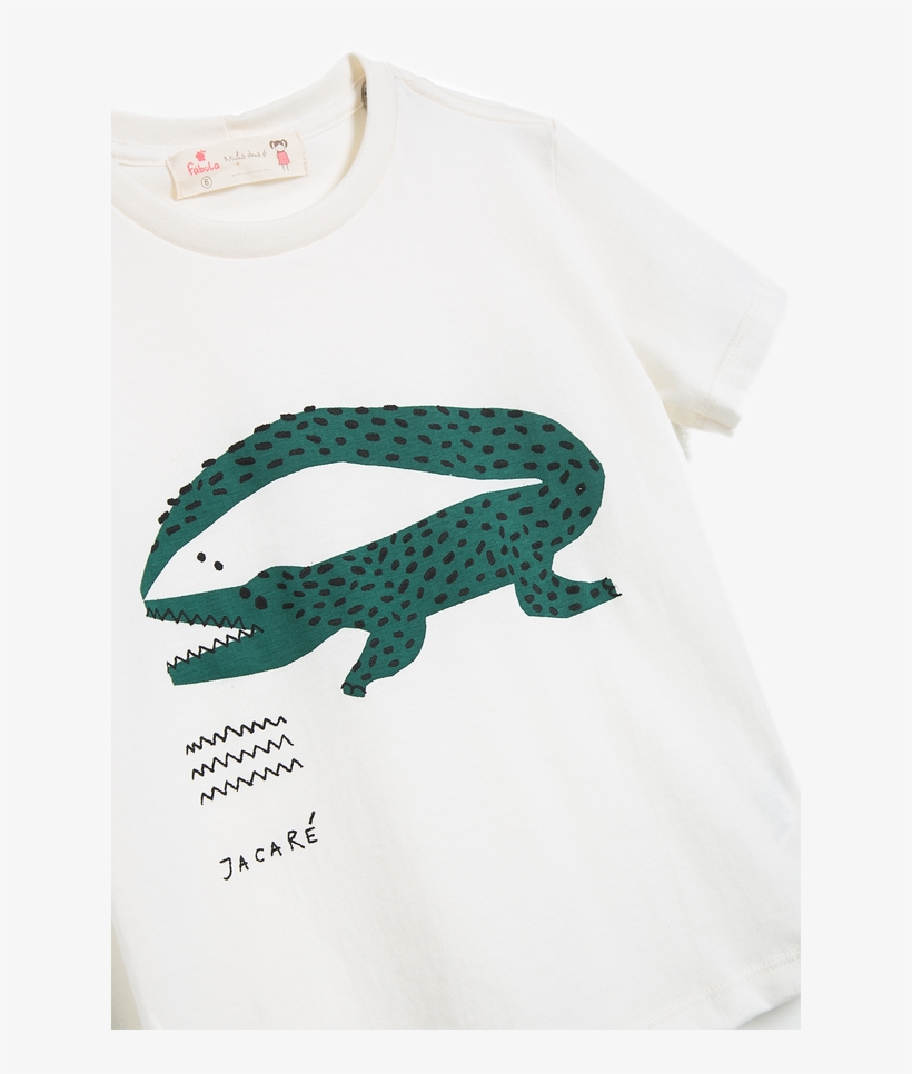 Categoria - Fábula - Alligator, transparent png download