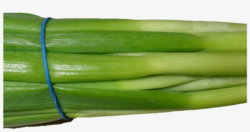 Scallion Green Onion Png Image - Scallion, transparent png download