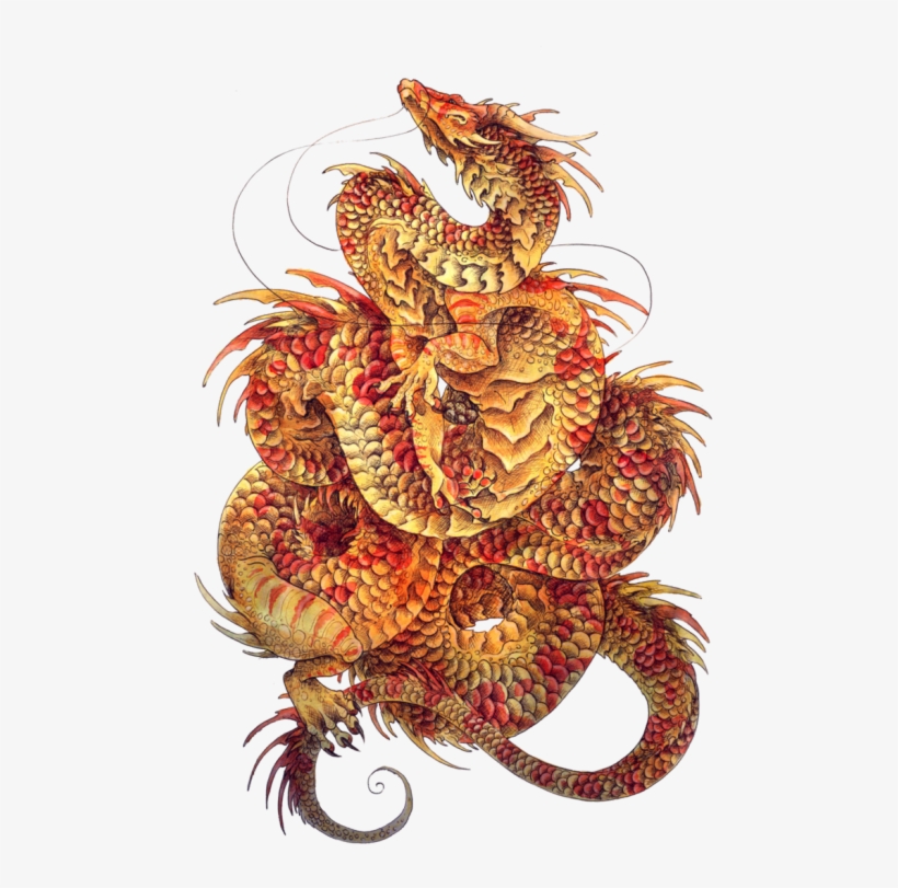 Tumblr N1xmnobrwz1rmdkvao1 500 - T-shirt, transparent png download