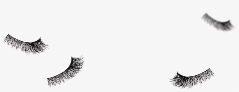 Kiss Blowout Lash Image Kiss Lash Overlay - Eyelash Extensions, transparent png download