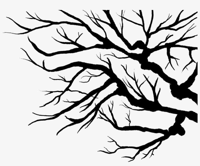 Branches2 - Tree, transparent png download