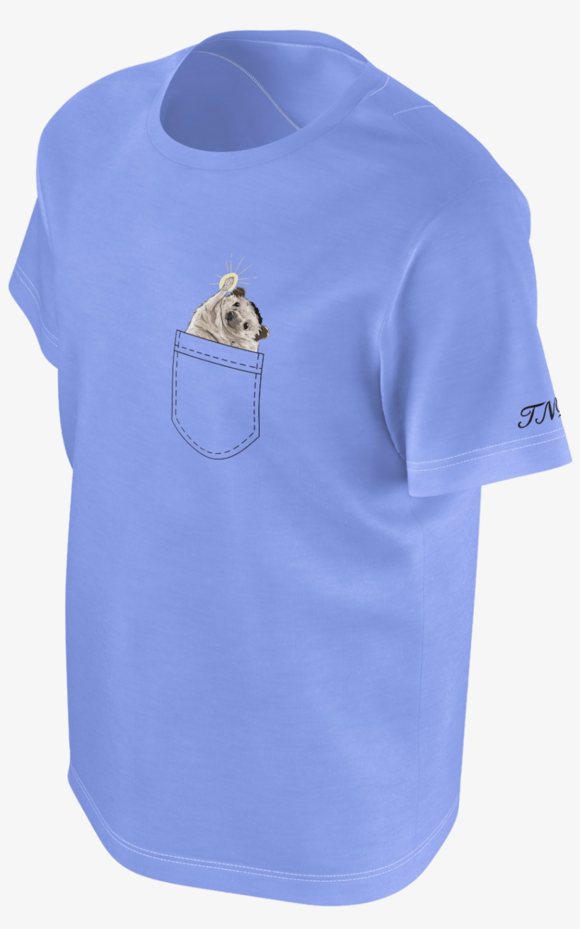 Taylor Nicole Dean Kid's Blue Cheering Hedgehog Drawn - Meerkat, transparent png download