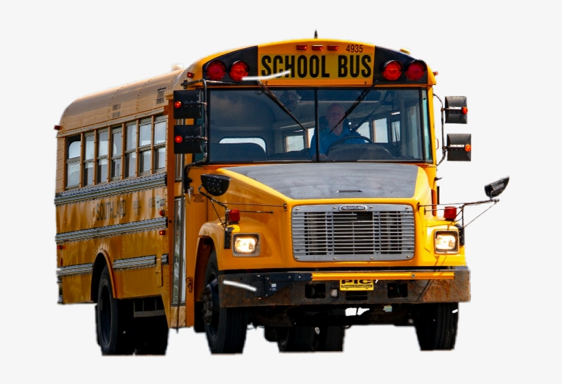 School, transparent png download