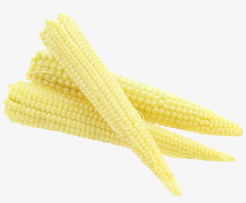 Fresh Baby Corn Png Image - Baby Corn Png, transparent png download