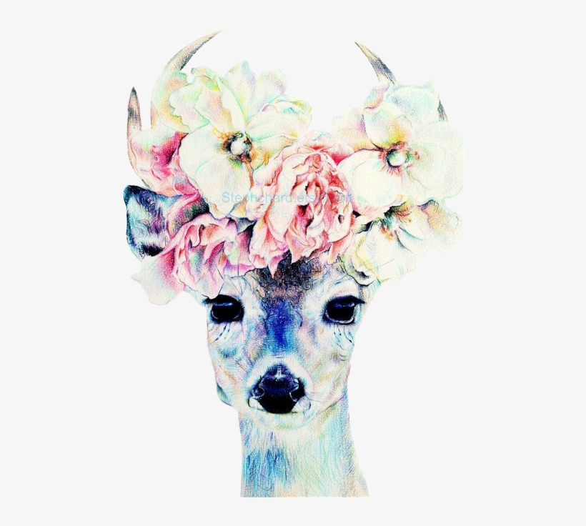 Deer With Flower Crown, transparent png download