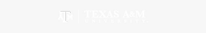 Tam Primary Mark B, White - Ivory, transparent png download