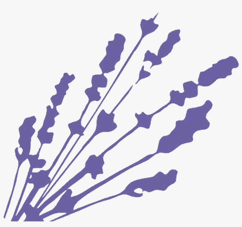 Lavender Bistro, transparent png download