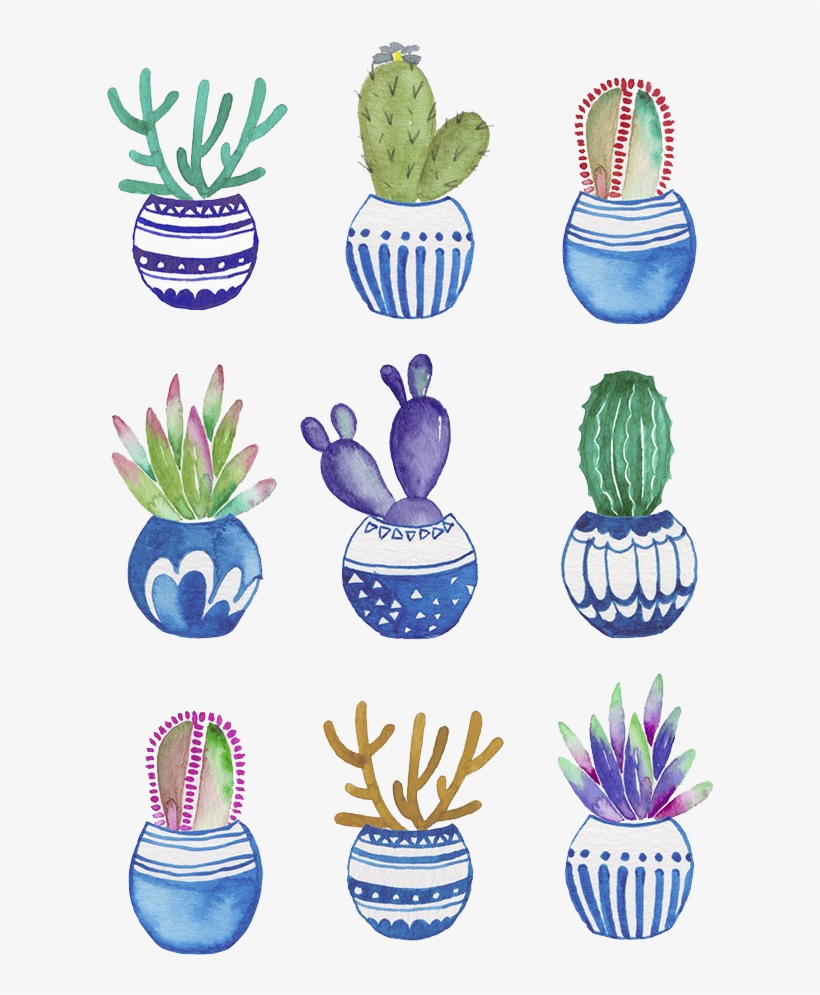 Graphic Royalty Free Download Bonsai Drawing Watercolor - Cactus Watercolor Painting, transparent png download