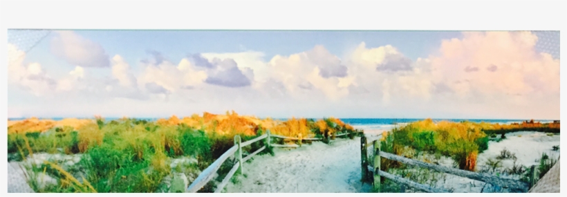 Fenced Path Panoramic Print - Printing, transparent png download