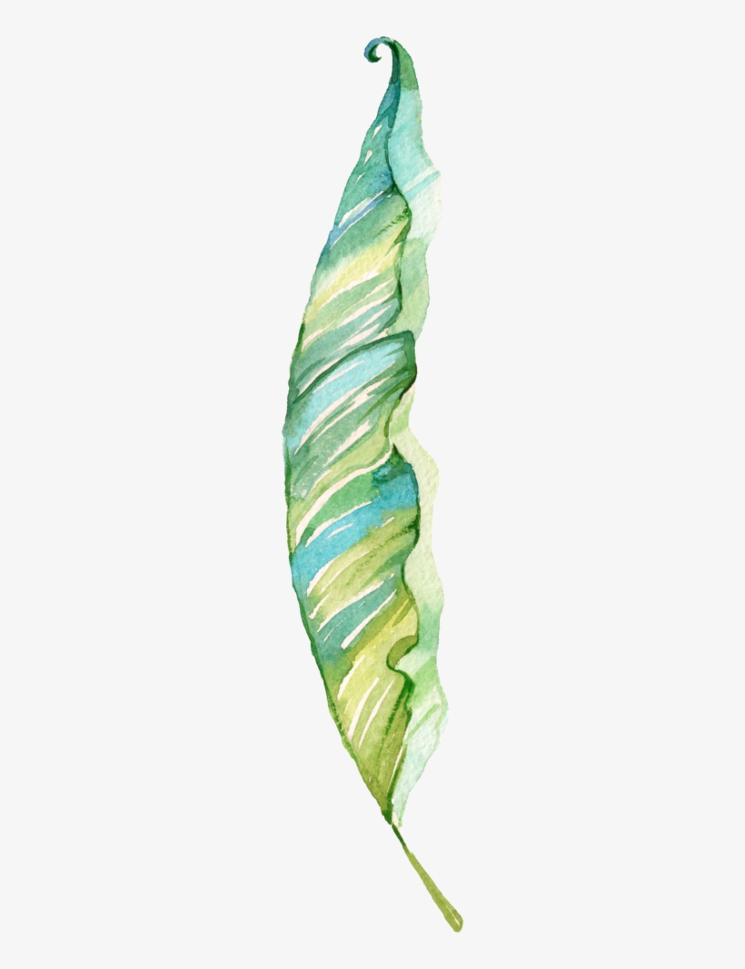 Tropical - Watercolor Painting, transparent png download