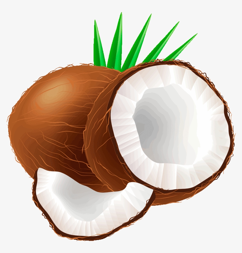 Cocoanut Clipart Dry Fruit - Coconut Clipart, transparent png download