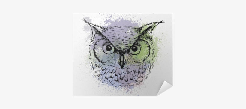 Vector Sketch Of Owl Head On A Background Of Colored - Owl Sketch, transparent png download