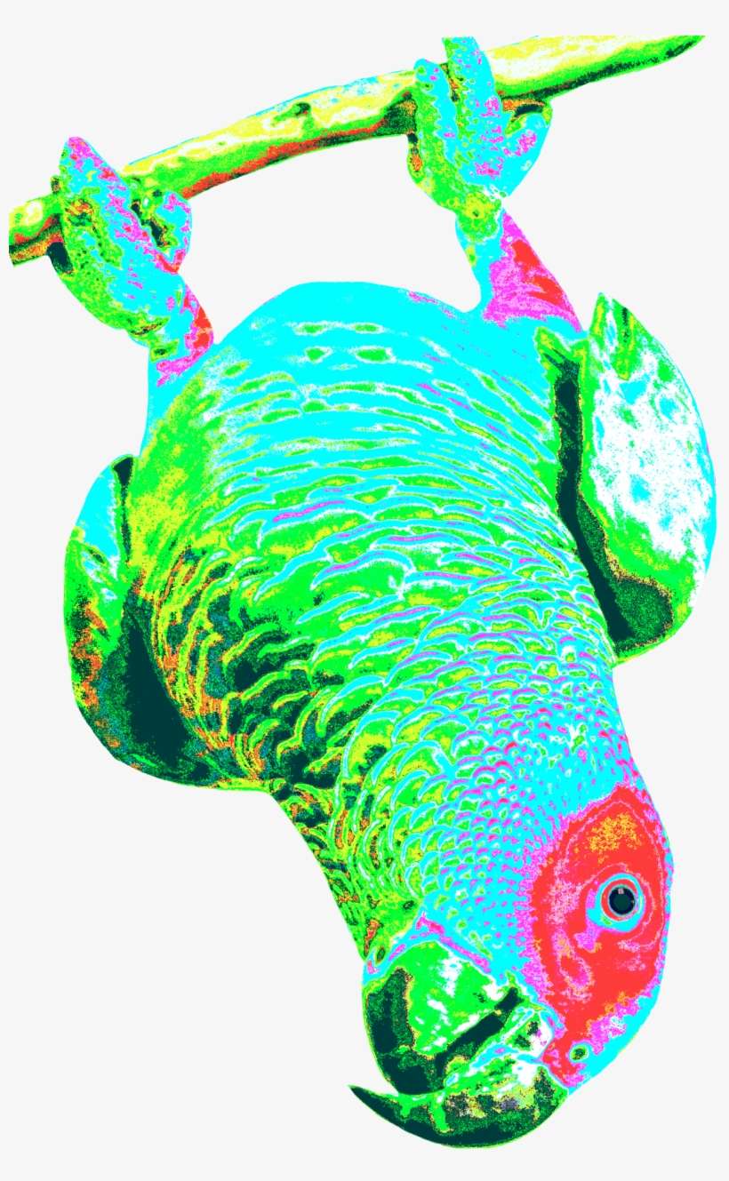 T-shirt, transparent png download