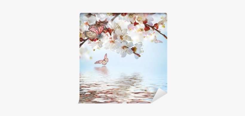 Apricot Flowers In Spring, Floral Background Wall Mural - Flower, transparent png download