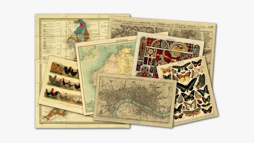 Orignal & Reproduction Rare And Historical Maps And - Decorative Wrap 20x28 Butterflies, transparent png download