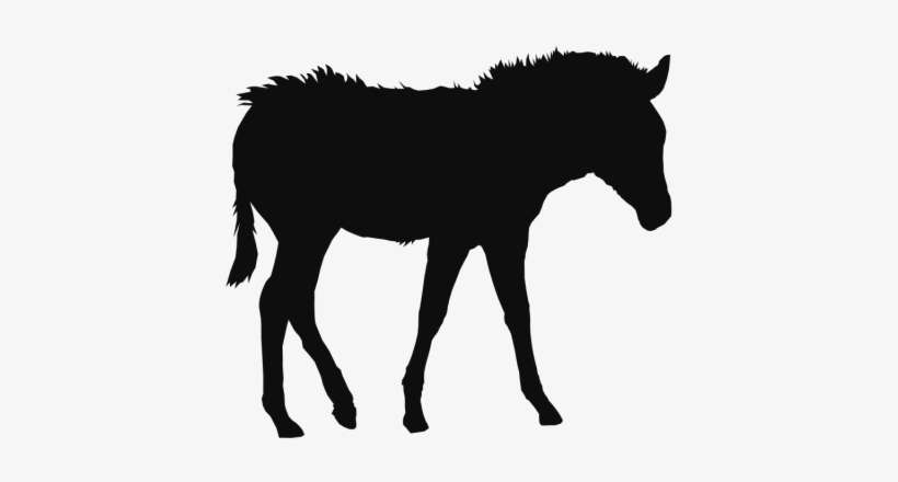 Caballo Animales Clipart Background - Animal, transparent png download