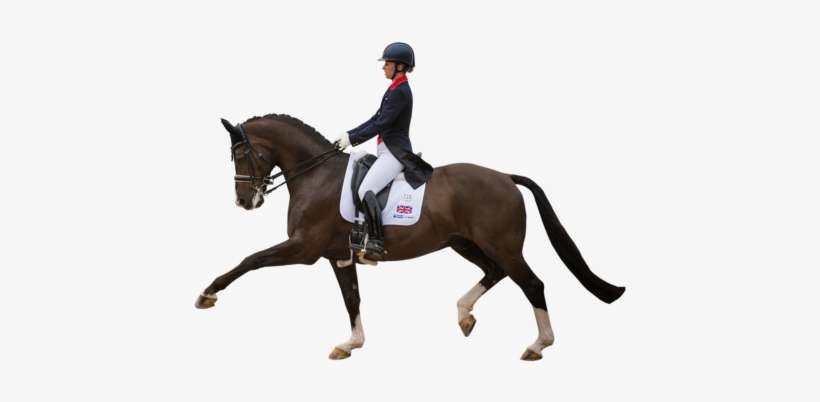 Siempre Nos Hace Mucha Ilusión Cada Vez Que Incluimos - Charles Owen V8 Navy, transparent png download