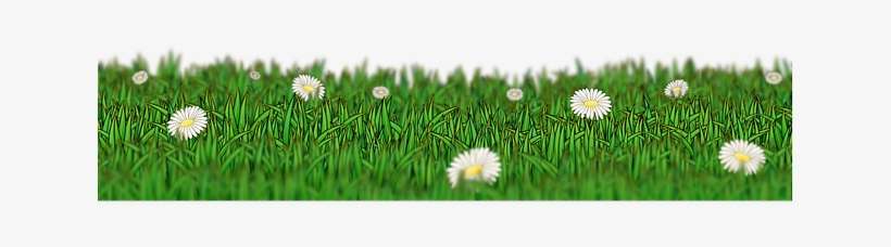 Meadow-162154 640 - Meadow Png, transparent png download