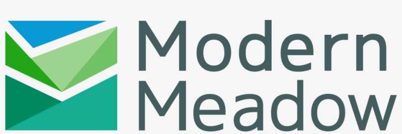 3d Printing, Meat, Investment, Series A Modern Meadow - Middle East Institute Logo, transparent png download