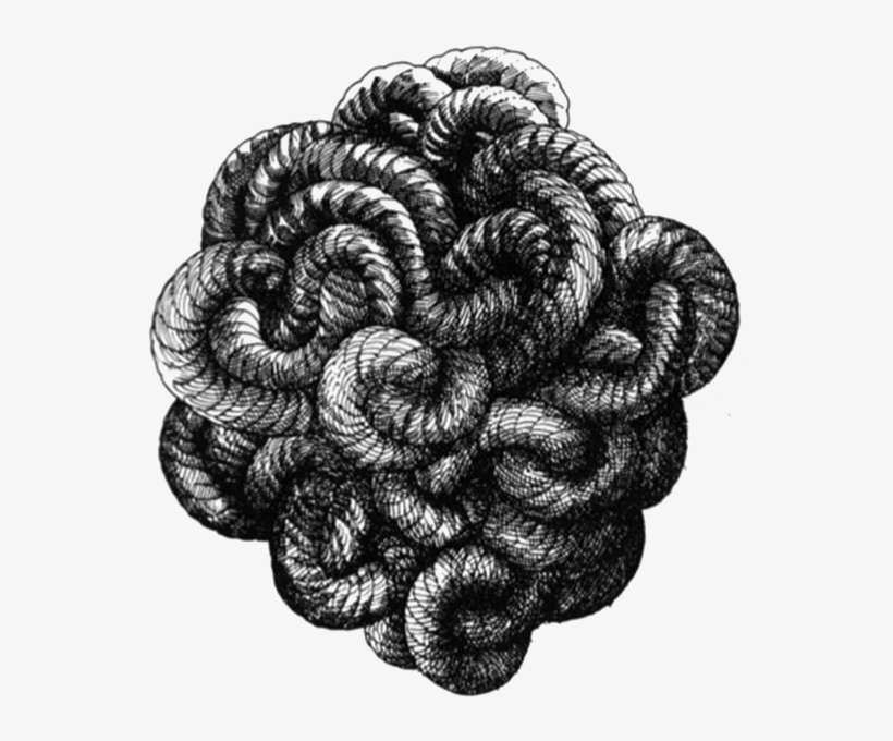 The Gordian Knot - Poetry, Aphorisms, And Affirmations, transparent png download