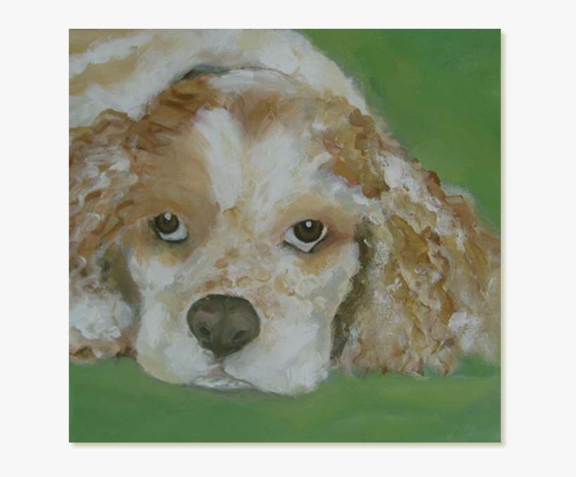 Cocker Spaniel, transparent png download