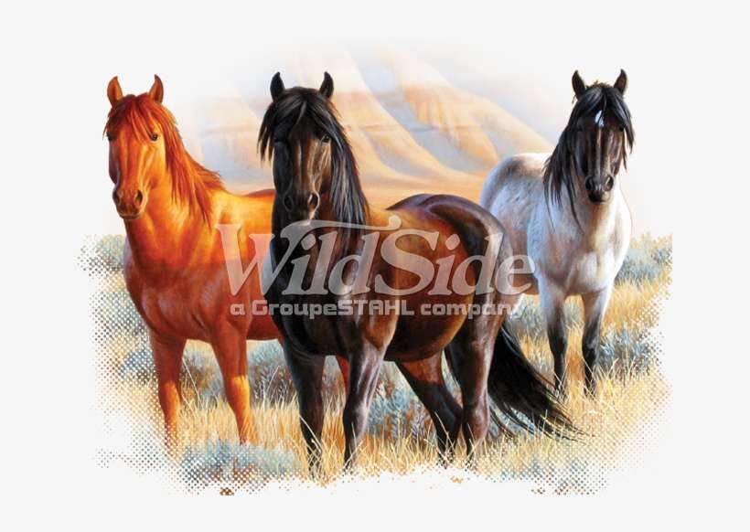 3 Horses In Meadow - Men's Long Sleeve Shirt Three Horses - White - Xl, transparent png download
