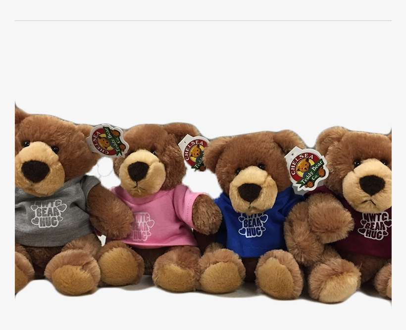 Plush Barney Bear - Northeast Wisconsin Technical College Bookstore, transparent png download