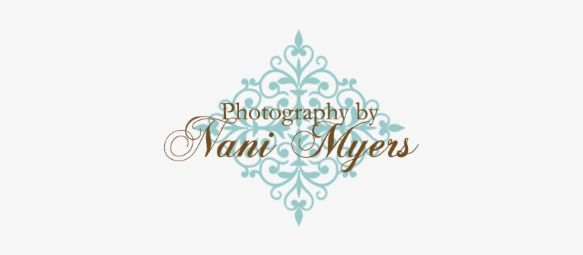 Photography By Nani Myers - Embellishment Wall Decal - Vinyl Decal - Car Decal, transparent png download