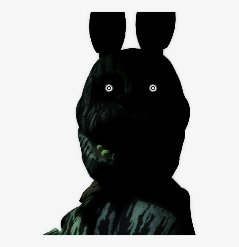 Domestic Rabbit, transparent png download