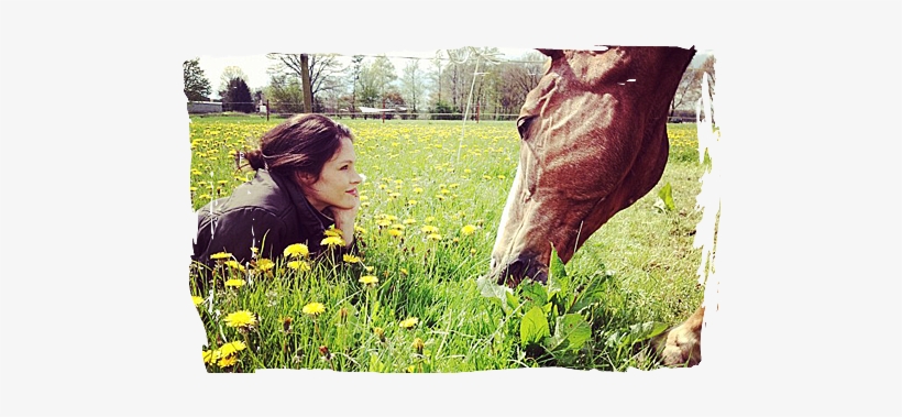 79jcmpf - Farm, transparent png download