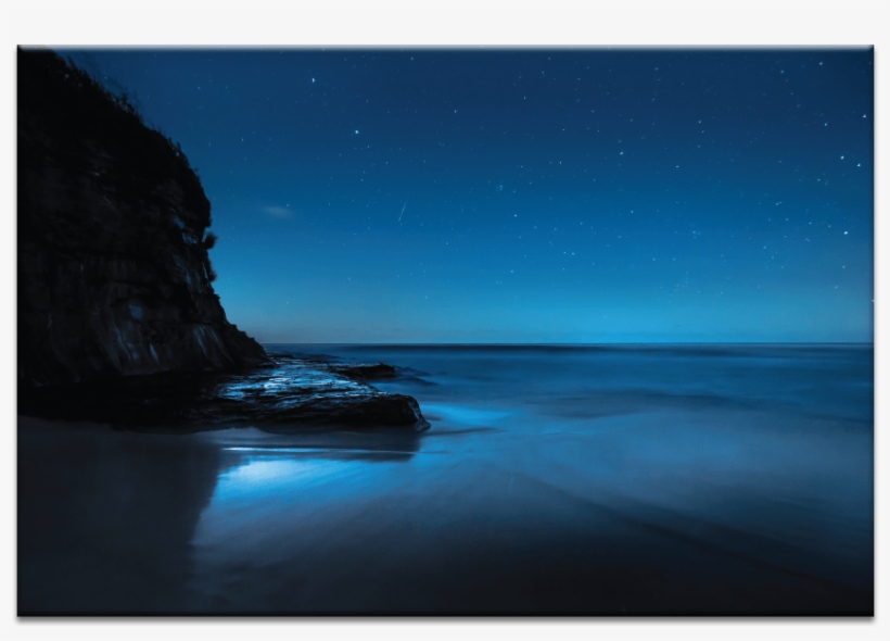 Starry Night - Sea, transparent png download