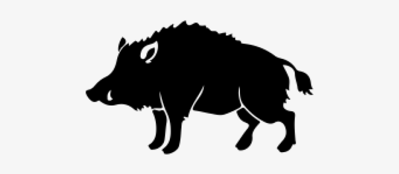 Free Png Boar Png Images Transparent - Boar Vector, transparent png download