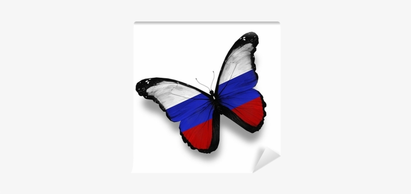 Russian Flag Butterfly, Isolated On White Wall Mural - Uae Flag In Butterfly, transparent png download