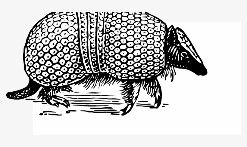 Vector Graphics, transparent png download